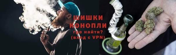 прущие грибы Баксан