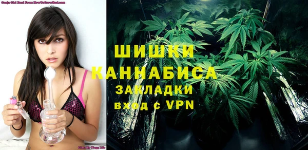 прущие грибы Баксан
