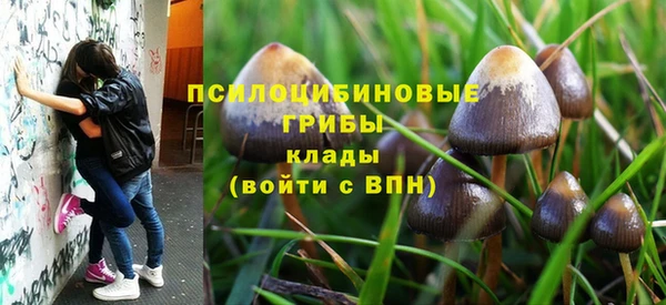 прущие грибы Баксан