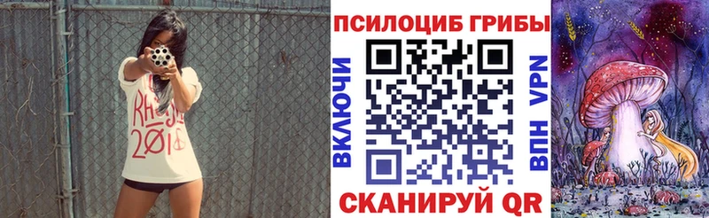 Купить закладки  Ликино-Дулёво  Псилоцибиновые грибы Psilocybe 